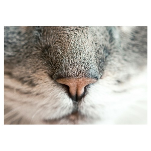 5 Friday Fun Facts (in Anoka Acupuncture Pain Therapy Wellness Clinic)