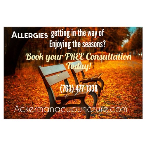 Acupuncture for Allergies and Asthma (Blaine Acupuncture & Pain Therapy)