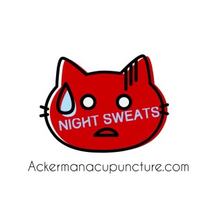 Cat Night Sweats Hot Flashes Blog