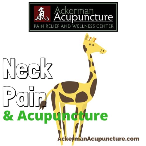 Neck Pain and Acupuncture Treatment (near Andover, MN)