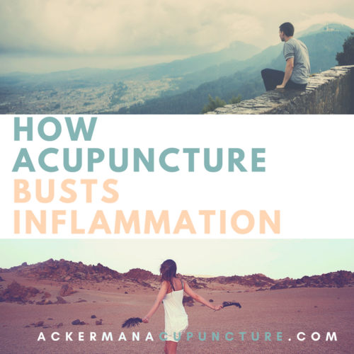 How Acupuncture Helps Decrease Inflammation in the Body (in Blaine, MN)