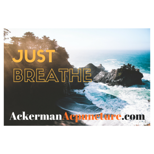 Just Breathe! Stress-Busting Deep Breathing Exercise (Blaine, MN)